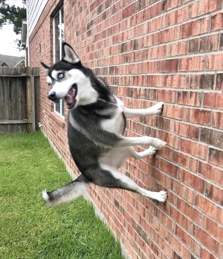 8f72a75020ab773759fe4df848