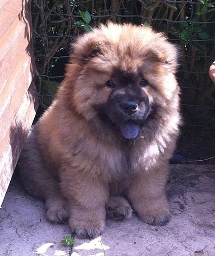 8f754e5fd8a66473aecb9874ed