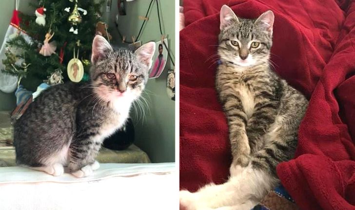 8f84a15d12a3f06f24a18a5c07