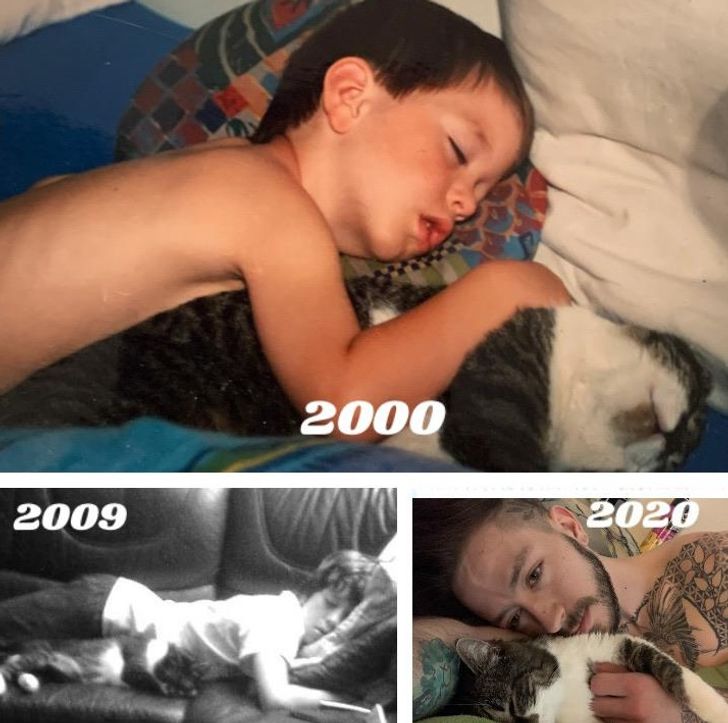 8f928059d6a4126e95e0d85527