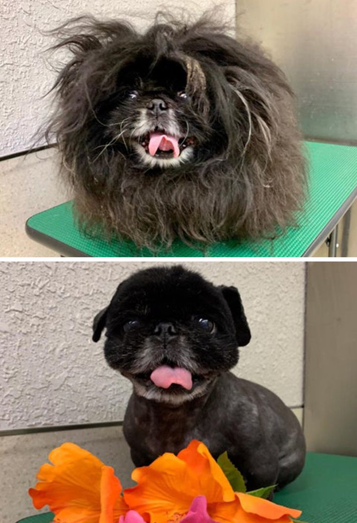 8f963850ae872c2610d569c677