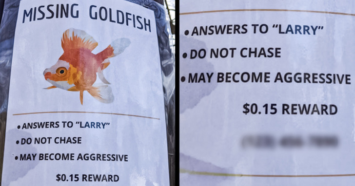 8fa1b95791863cb0b17f7421c0