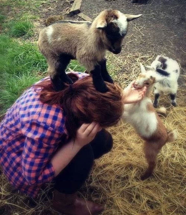 8fa38656d9b38a54209976e9df