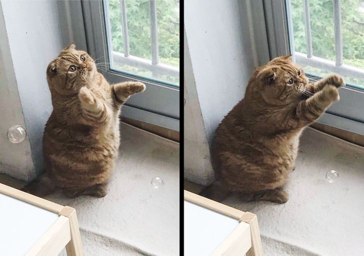 8fa9165d9eaa7e118542c21881