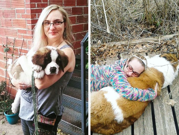 8fa9c15d569803394a4f8e52ba