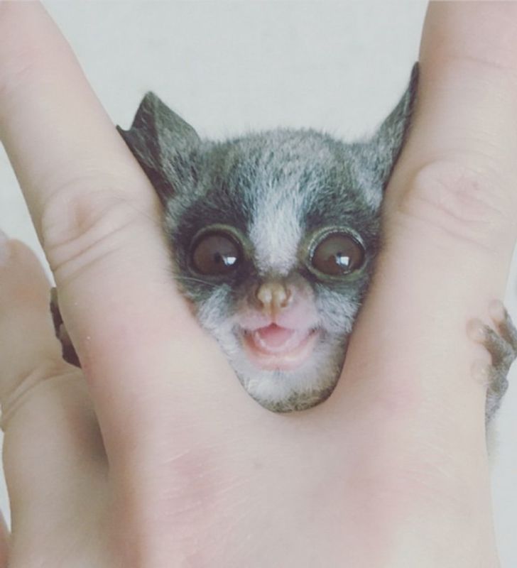 8facb65d00ad3580856911fb00 8facb65d00ad3580856911fb00