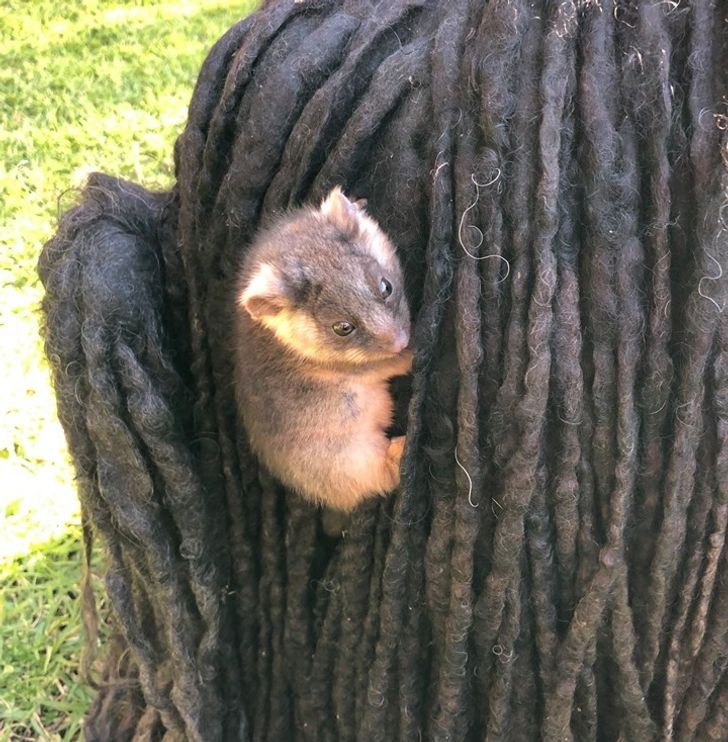 8fad8a52f783bede4dcd6bf73b