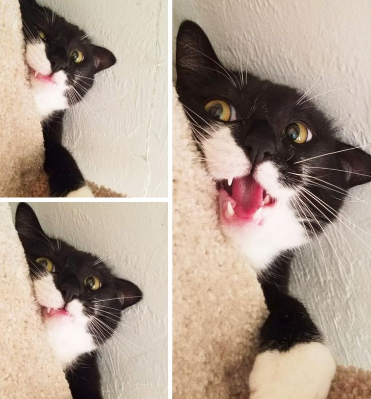 8fb423542c92600b82d589da0d