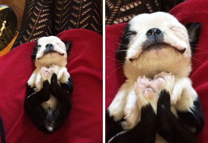 8fb54c5079956baf1e6be7a4cd