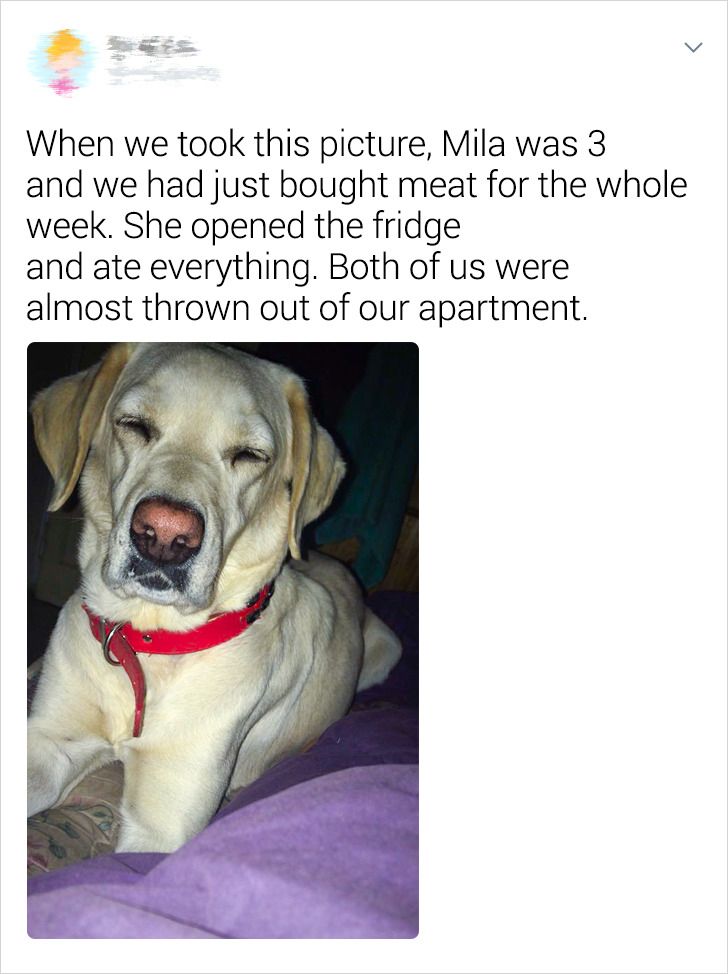 8fc2eb5a9d9abcafc2278d9328