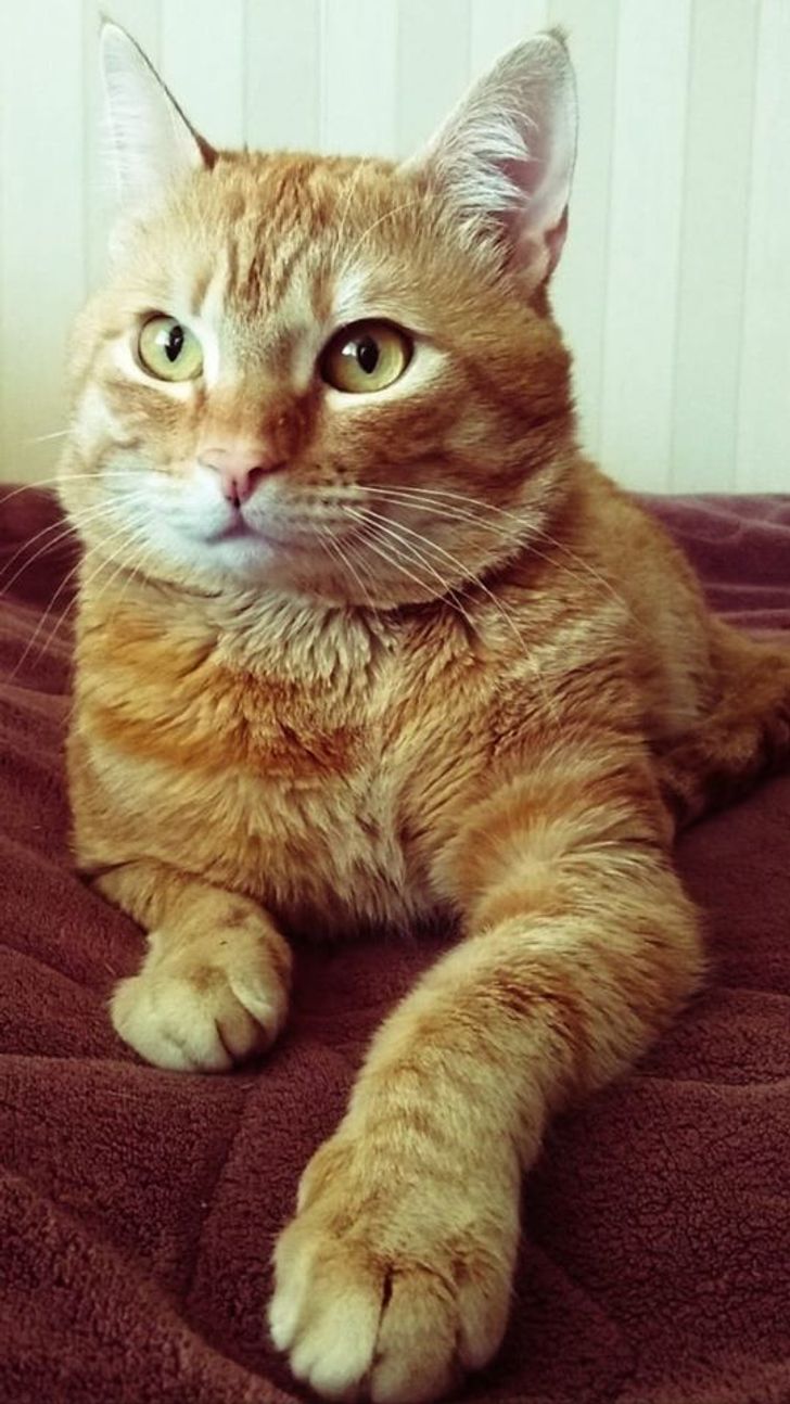 8fc8c65cac9865918ddcf113c3