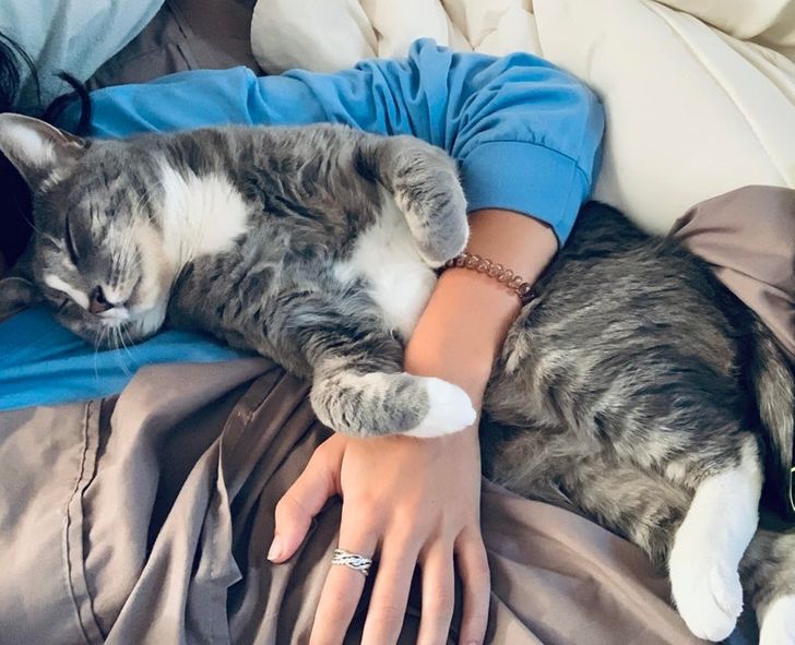 8fc97559fba7a6499b8e220882