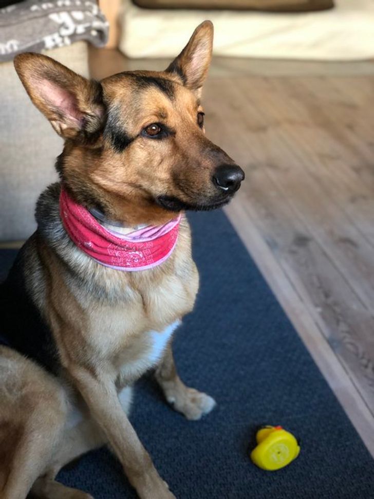 8fd1bc57fd84185a3a681e09e6