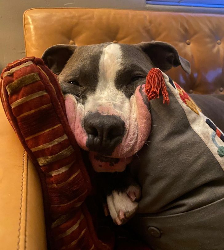 8fd3465ff8b7ee6d2604b628f7 8fd3465ff8b7ee6d2604b628f7