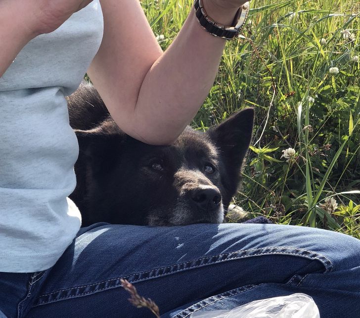 8fd4675e78be5ffdf6892717b4