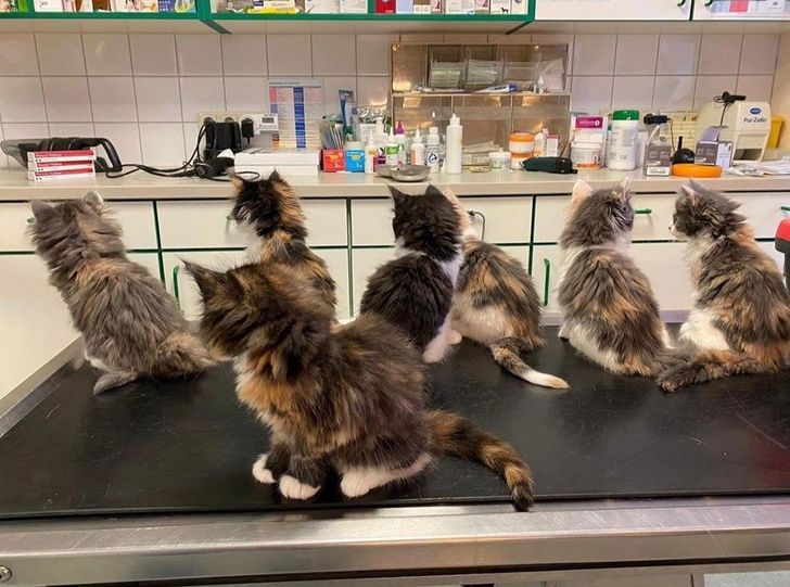 8fdceb5b7f90b8d281acb8b5c4