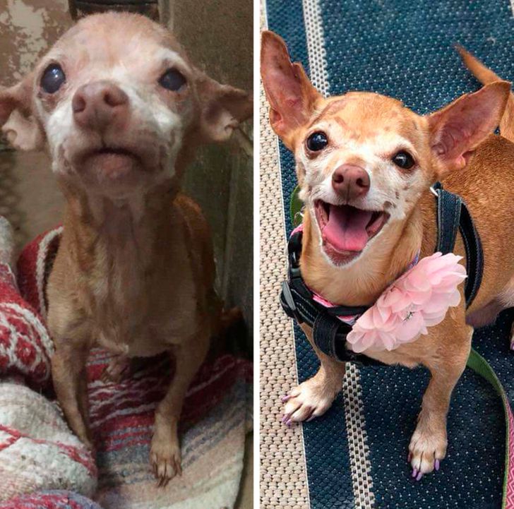 8fe9a6502cb41807400871bd2d