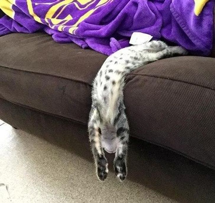 8ff0635e78bfd1aee3efb34539