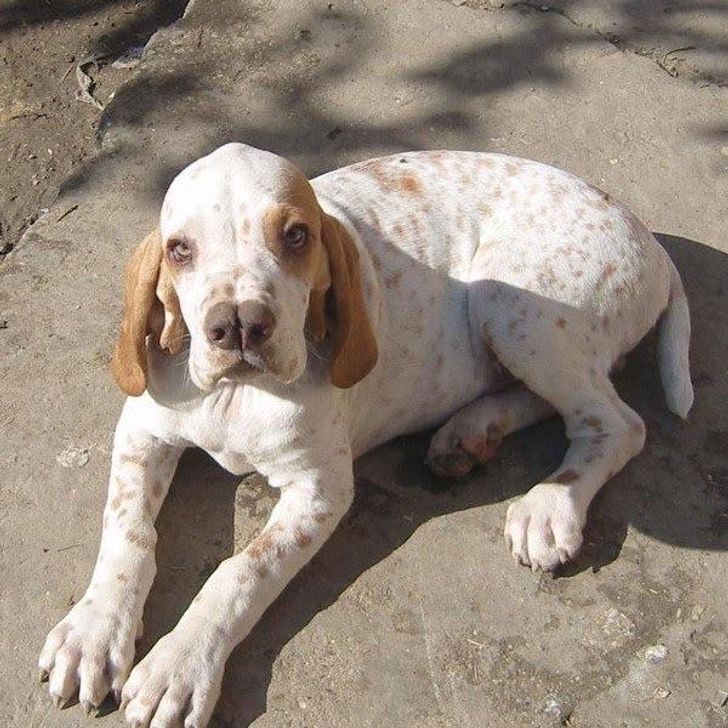 8ff6dd5568891b502387242f43