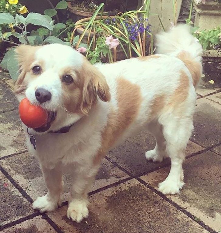 8ff8885e0596f648de413a68c7