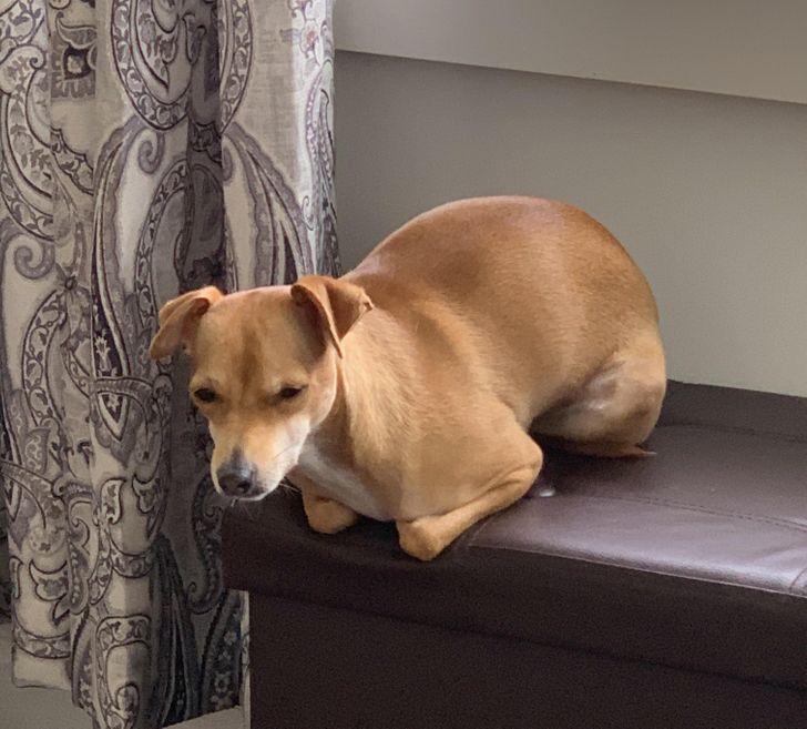 8ffff95c96b1c15ba12aa29c61