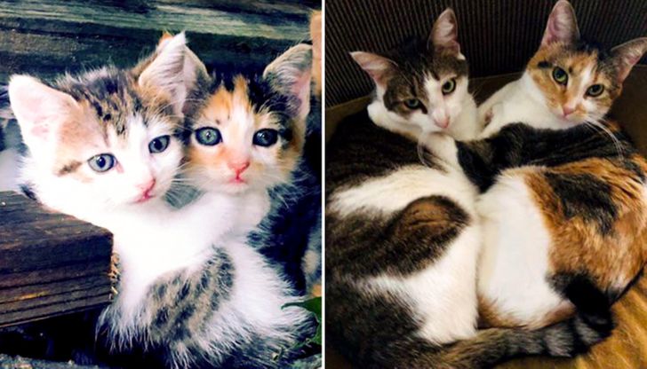 9000115d0f8639d59053436bf0