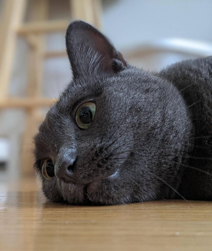 9002c15b07988f6659671a2d31