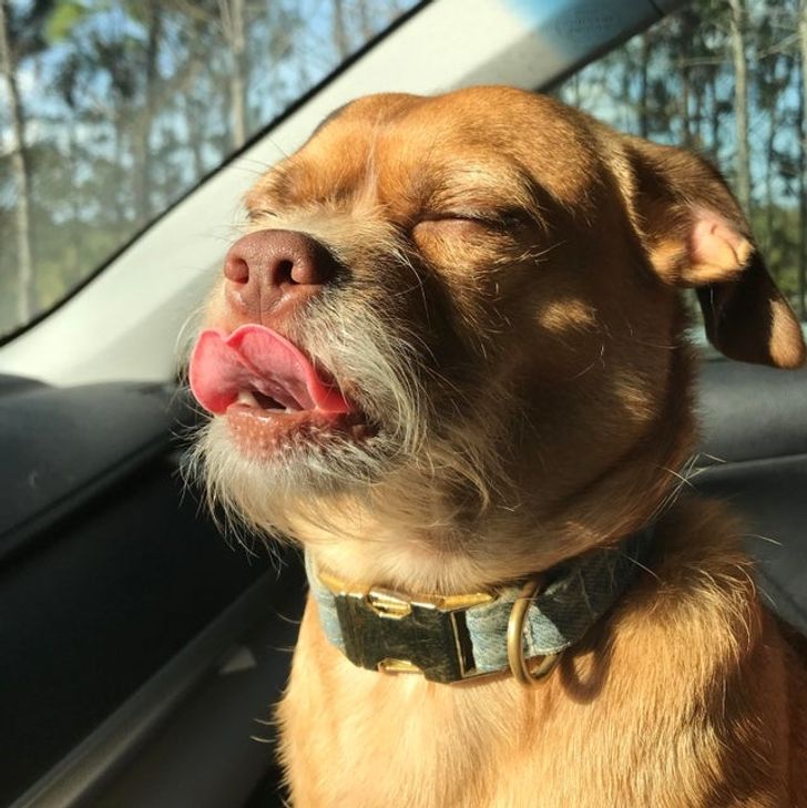 9007895c8fbedab85c399ccc07