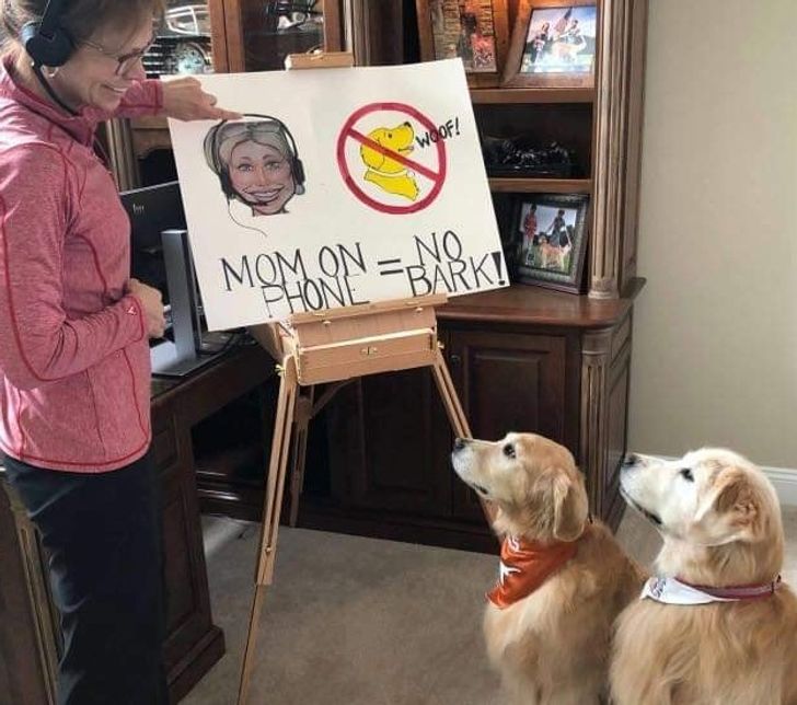 9007b6564b94fb6af7f7c784ef