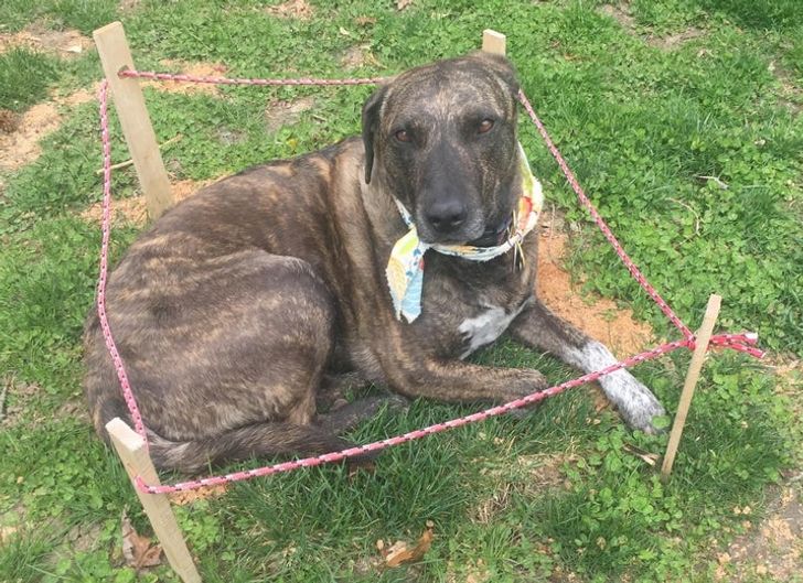 900ffb5aa7bbb824392c71fb60