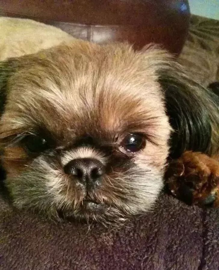 9012d753538e4e868cd479ca5a