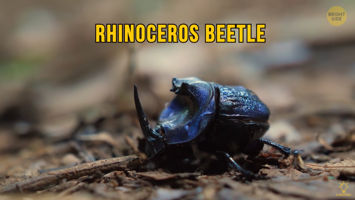 9018cf5304b7d5a6e0a997faab