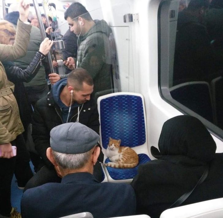 902345508ca89758da7b8b4302