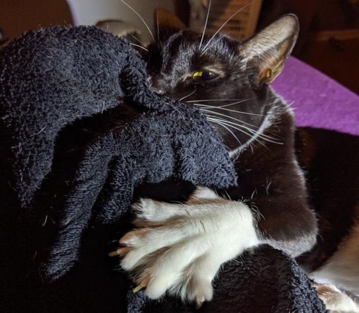 9029fd5ca8bd441884a7556789