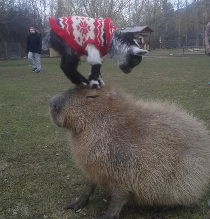 902def5c39ac66a3b6a91dacd1 902def5c39ac66a3b6a91dacd1