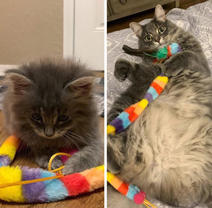 902ea851209149c066ead8389f