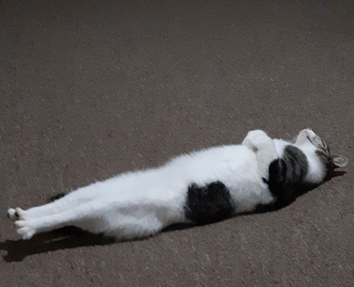 902f9b5483b83ffc4932f1fdea