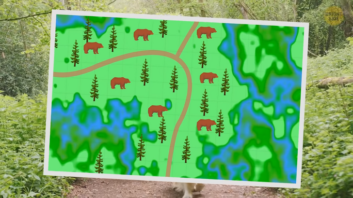 9033825293b28e31075b10c15a