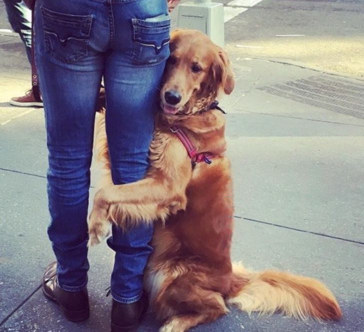 90341650bc9803298331ec5da8 90341650bc9803298331ec5da8