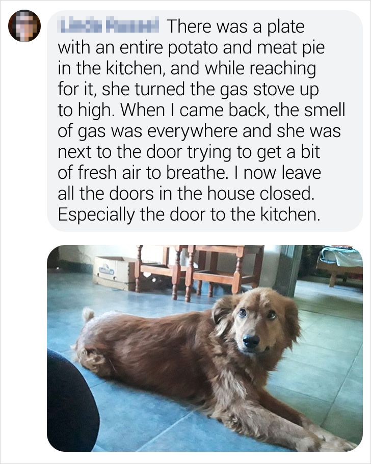 90453c5089bc133182b535d251