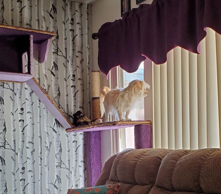 904a8554c7a2a141bdb4bc8276