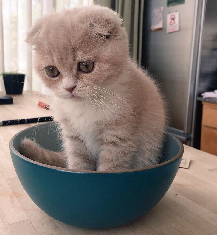 904ab957a2998c34d735fc7725