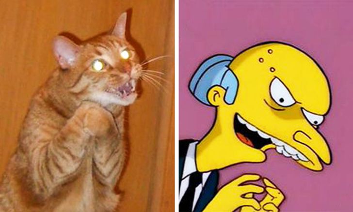 904c2f5973b7cff283a3c9247e