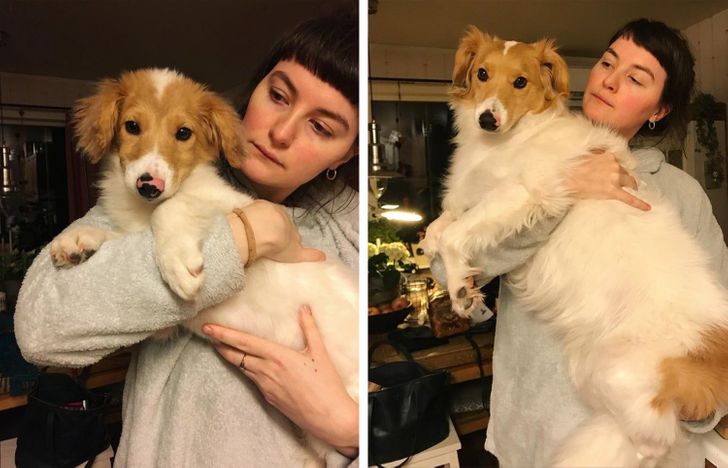 9050135abcaacaed46d47d20b2