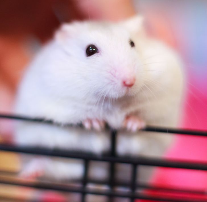 905203547b944dcdcff1696e7e