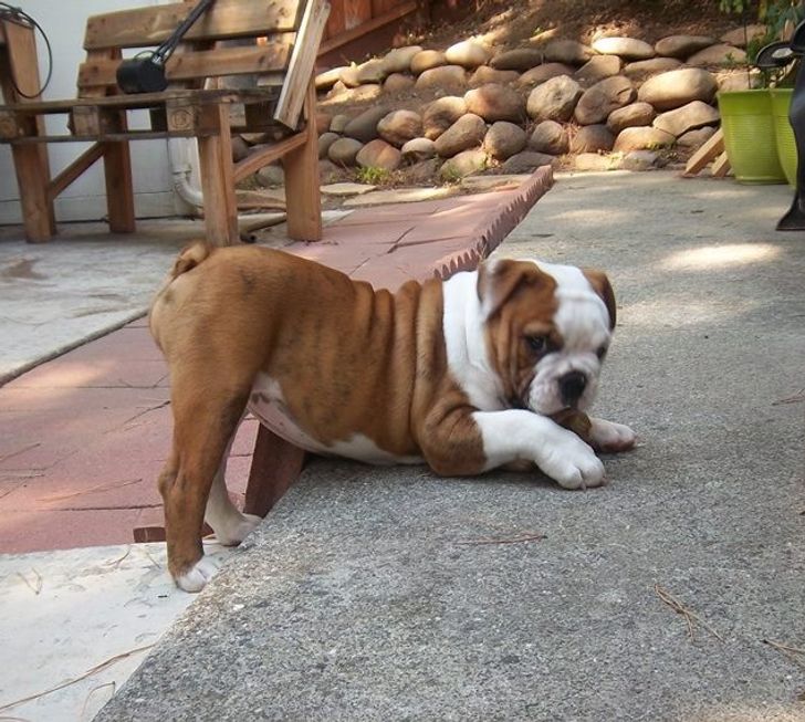 90533854d887d2315feabb546e