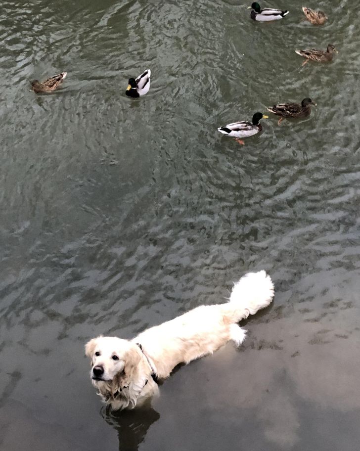 9053715e8db2fa05a9db5445a0