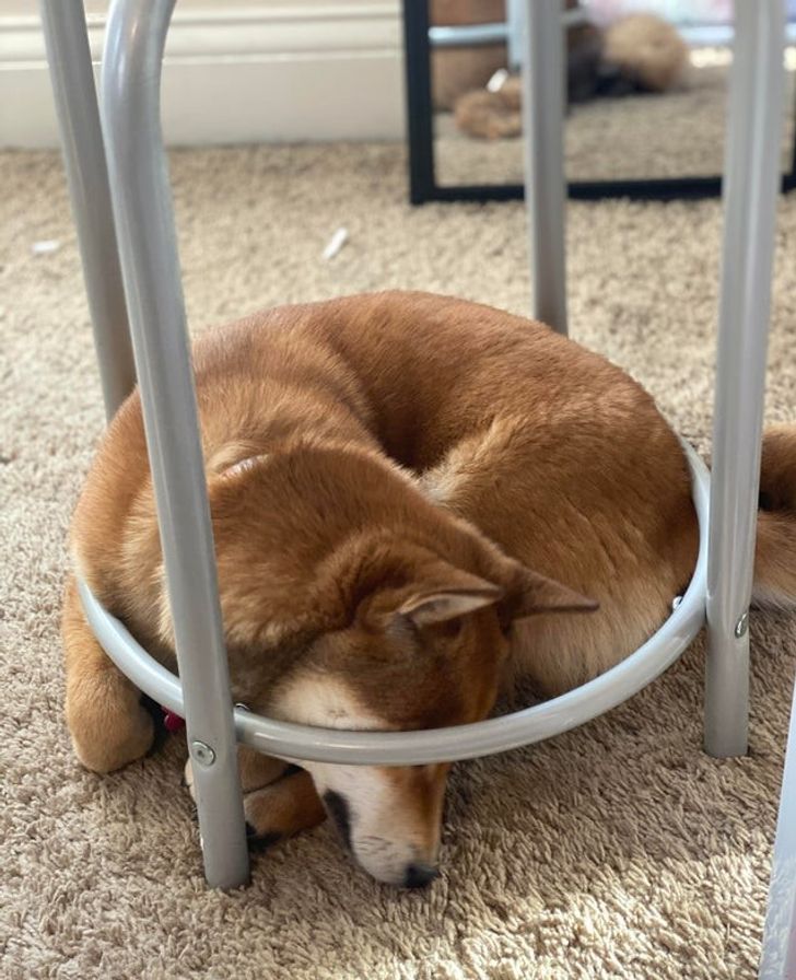 9059135d8bac55e0b33a3bce94