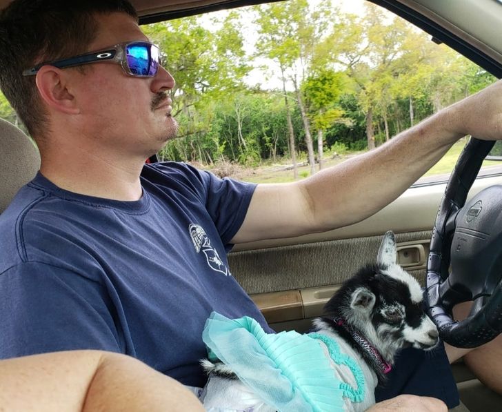 905b2152f9b80eab44da73915e