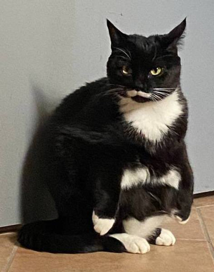 9075c65470abef6b9625734114